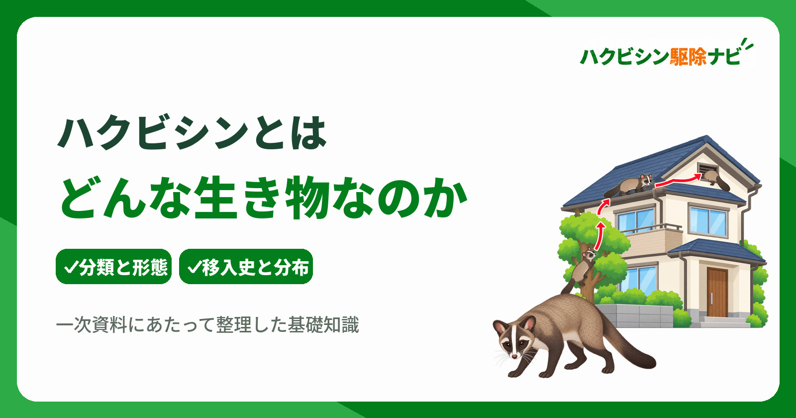 ハクビシンとは何か|分類・生態・日本への移入史を一次資料から解説