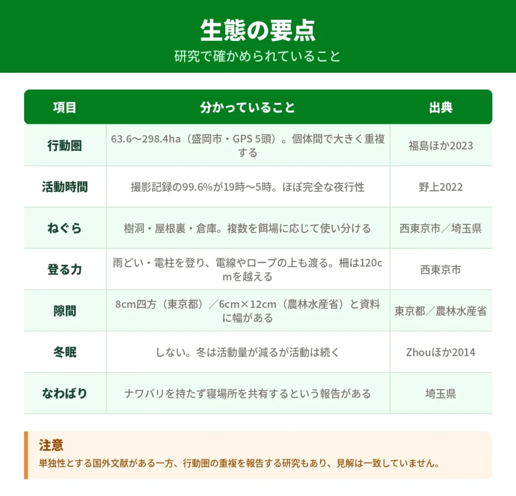 ハクビシンの行動圏・活動時間・ねぐら・登攀能力をまとめた図解