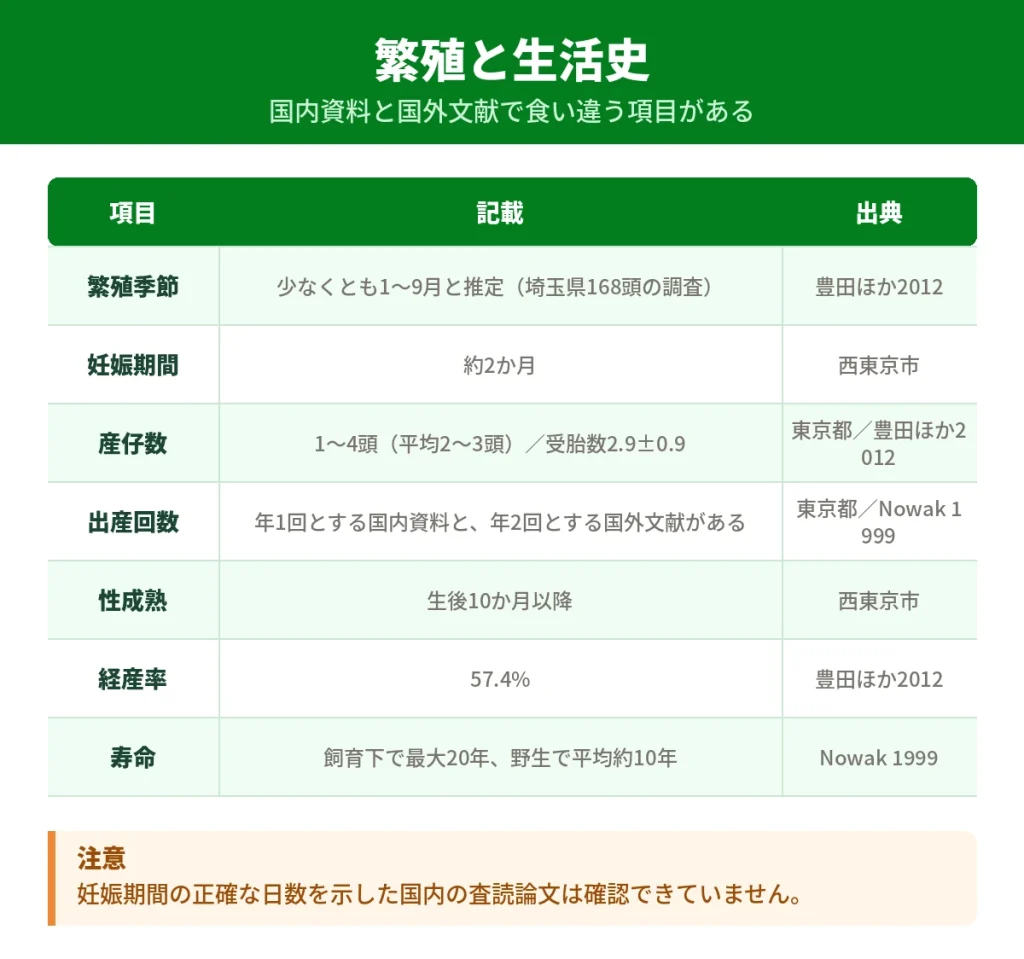 ハクビシンの繁殖と生活史に関する記載の比較