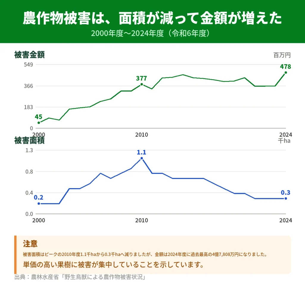 ハクビシンによる農作物被害金額と被害面積の推移(2000年度〜2024年度)