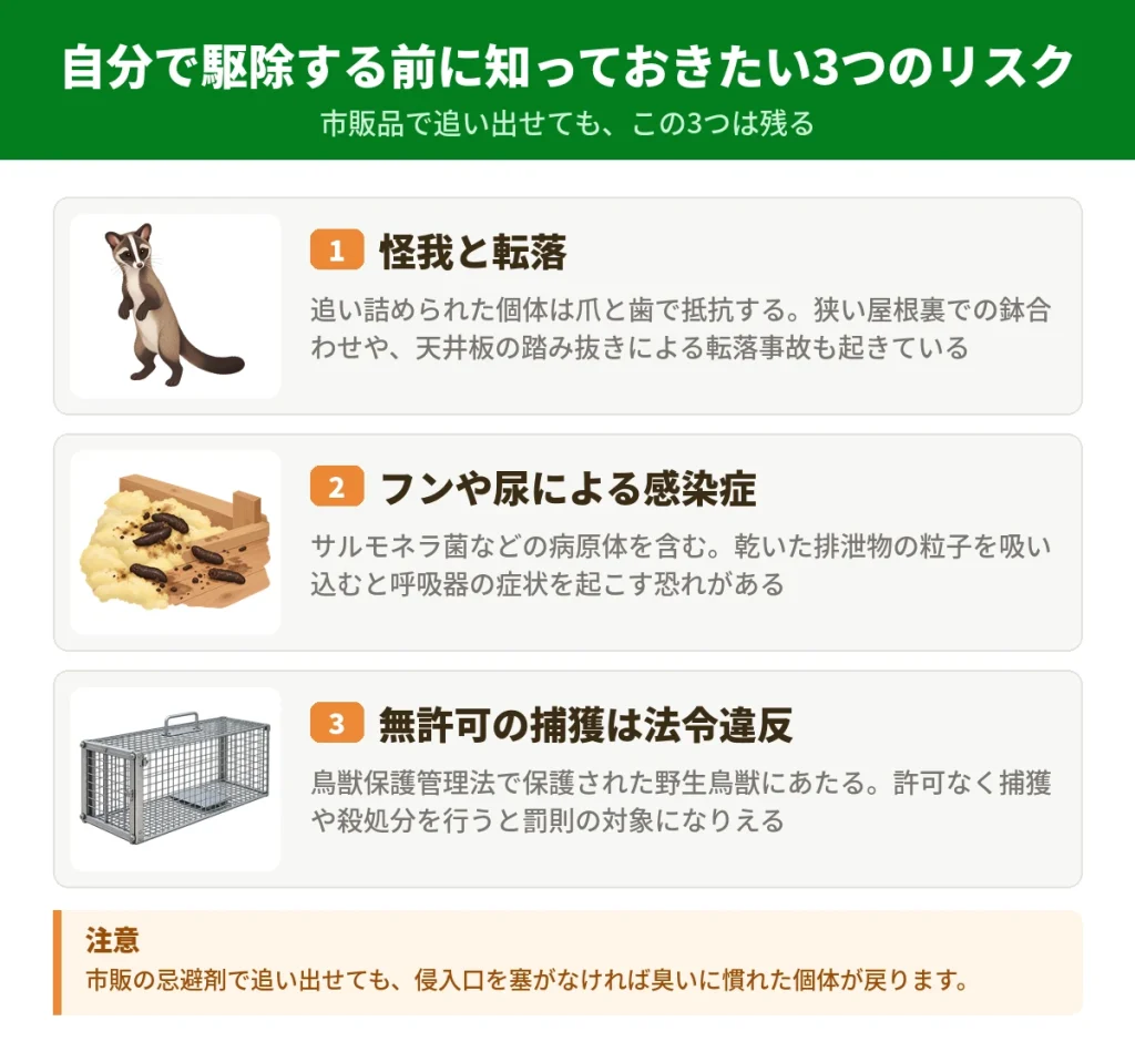 ハクビシンを自分で駆除する前に知っておきたい3つのリスク
