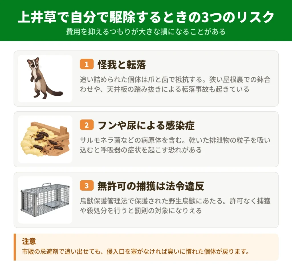 上井草でハクビシンを自分で駆除する前に知っておきたい3つのリスク