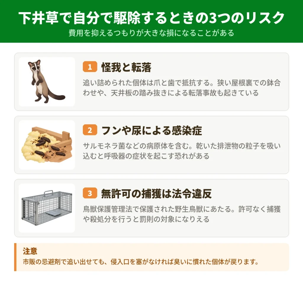 下井草でハクビシンを自分で駆除する前に知っておきたい3つのリスク