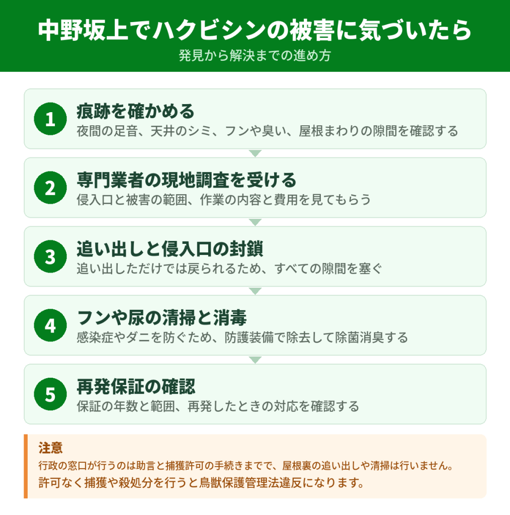 中野坂上でハクビシンの被害に気づいてから解決するまでの流れ