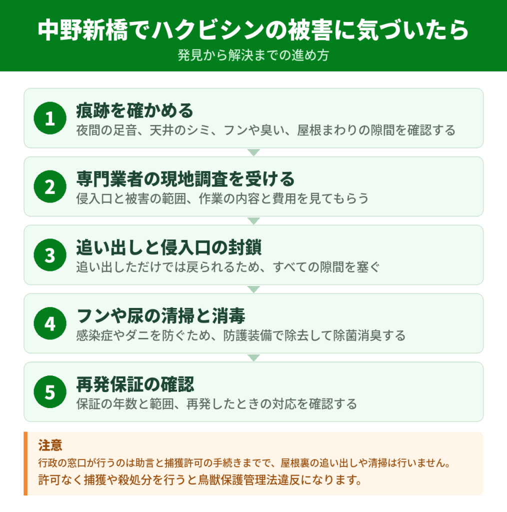 中野新橋でハクビシンの被害に気づいてから解決するまでの流れ