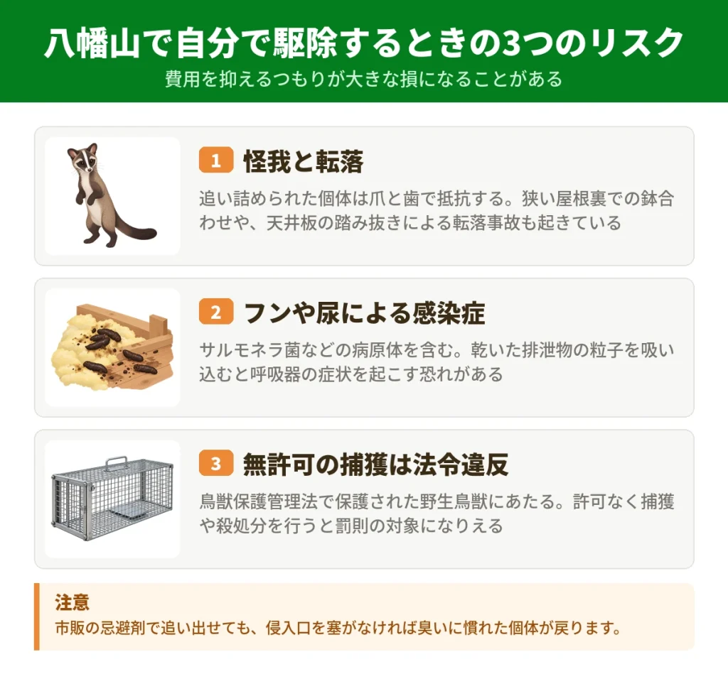 八幡山でハクビシンを自分で駆除する前に知っておきたい3つのリスク