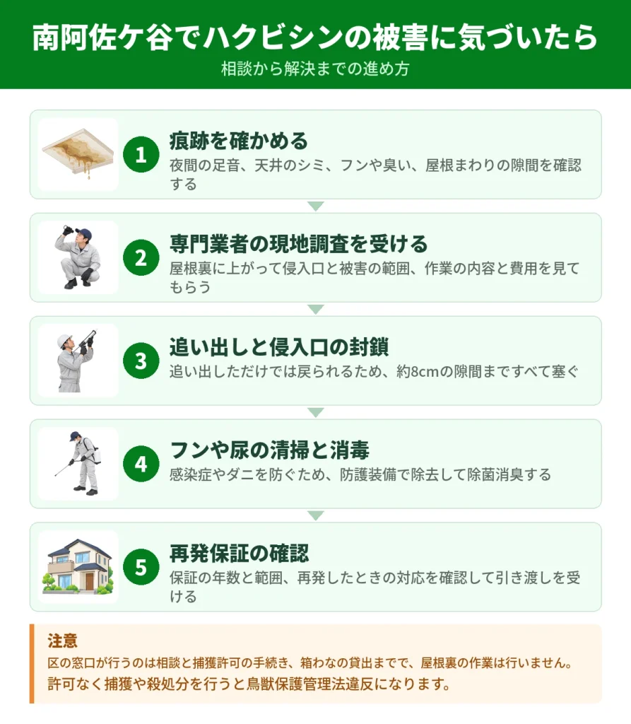 南阿佐ケ谷でハクビシンの被害に気づいてから解決するまでの流れ