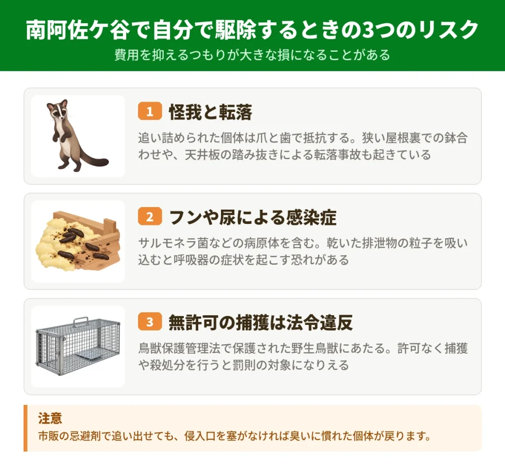南阿佐ケ谷でハクビシンを自分で駆除する前に知っておきたい3つのリスク