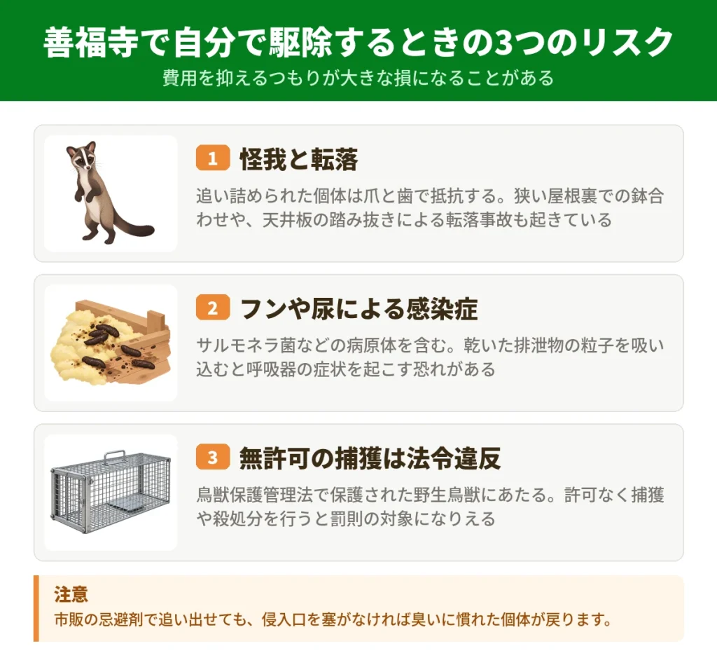 善福寺でハクビシンを自分で駆除する前に知っておきたい3つのリスク