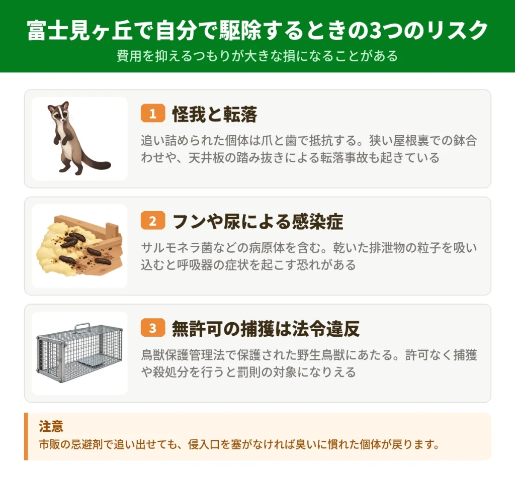 富士見ヶ丘でハクビシンを自分で駆除する前に知っておきたい3つのリスク
