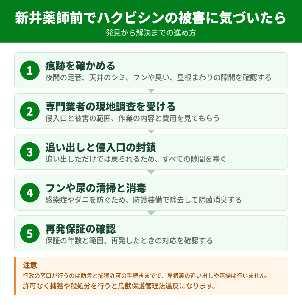新井薬師前でハクビシンの被害に気づいてから解決するまでの流れ