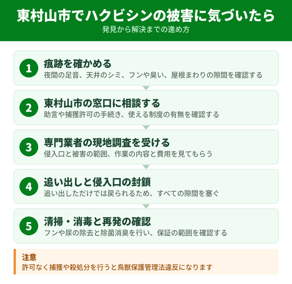 東村山市でハクビシンの被害に気づいてから解決するまでの流れ