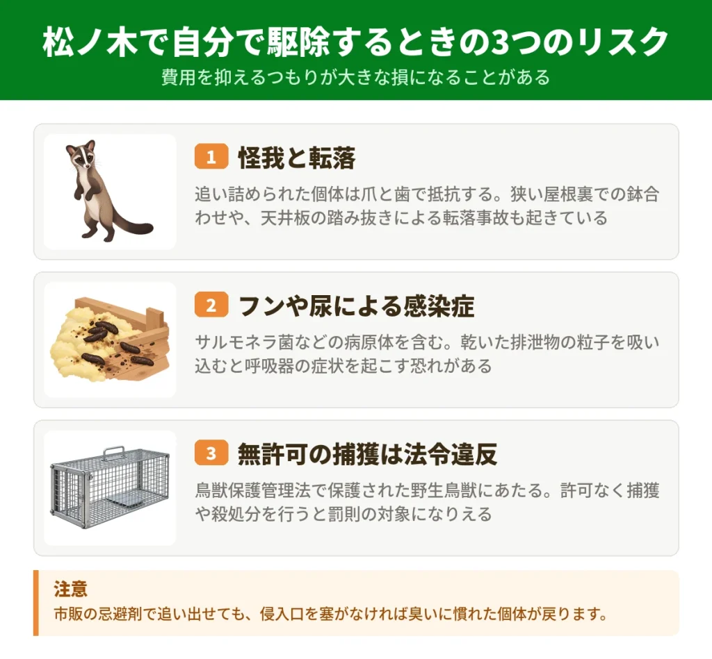 松ノ木でハクビシンを自分で駆除する前に知っておきたい3つのリスク