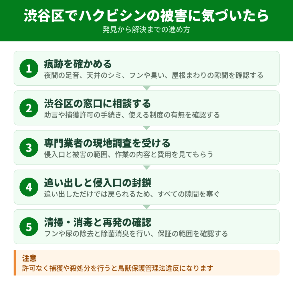 渋谷区でハクビシンの被害に気づいてから解決するまでの流れ
