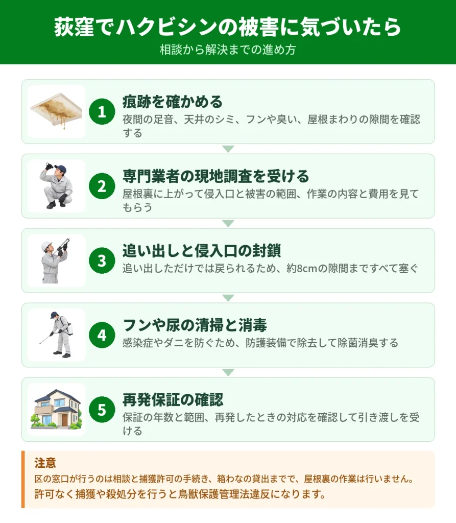 荻窪でハクビシンの被害に気づいてから解決するまでの流れ