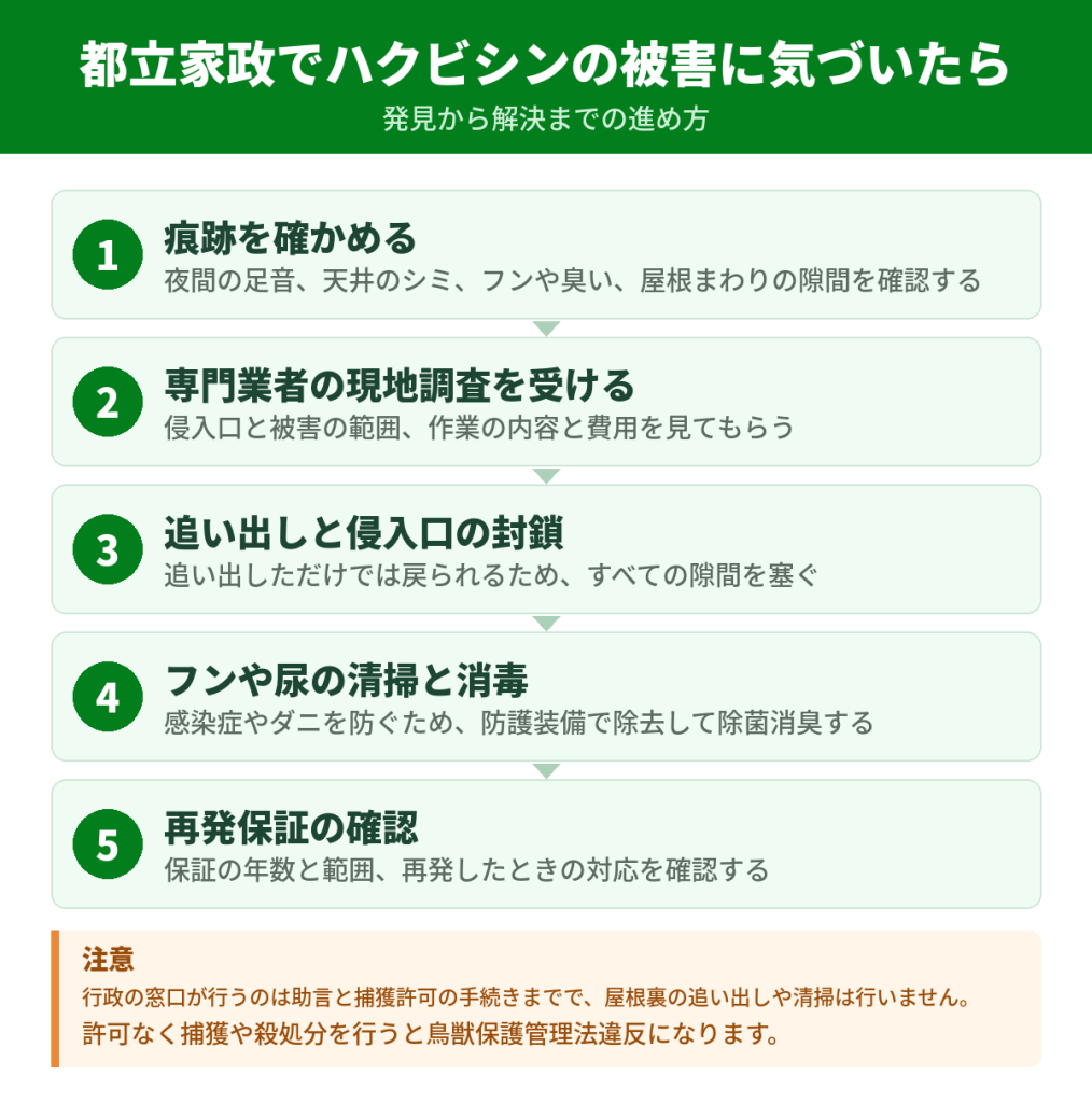 都立家政でハクビシンの被害に気づいてから解決するまでの流れ