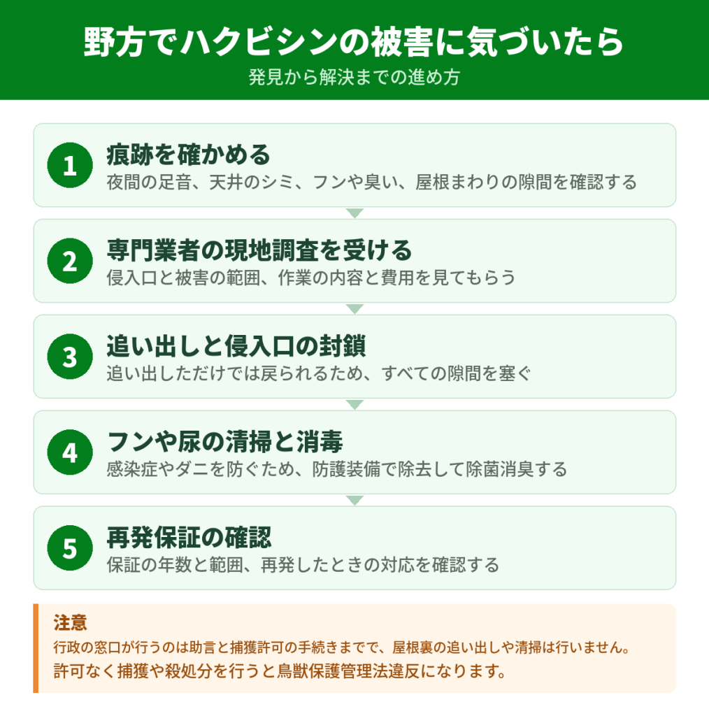 野方でハクビシンの被害に気づいてから解決するまでの流れ