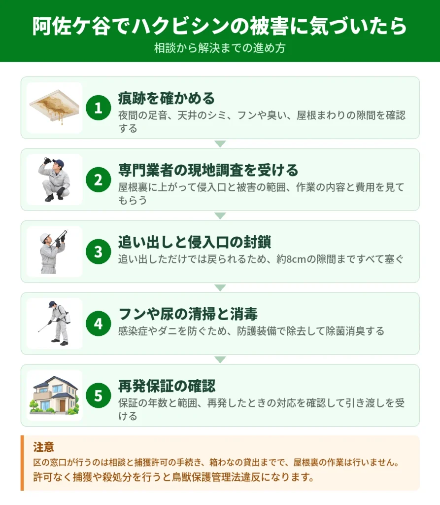 阿佐ケ谷でハクビシンの被害に気づいてから解決するまでの流れ