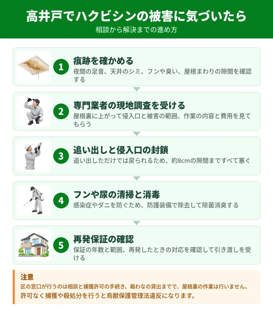 高井戸でハクビシンの被害に気づいてから解決するまでの流れ