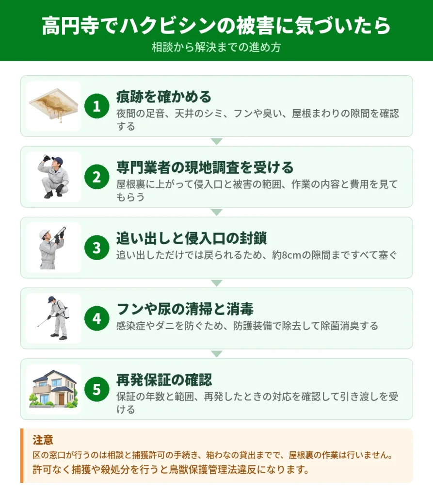 高円寺でハクビシンの被害に気づいてから解決するまでの流れ