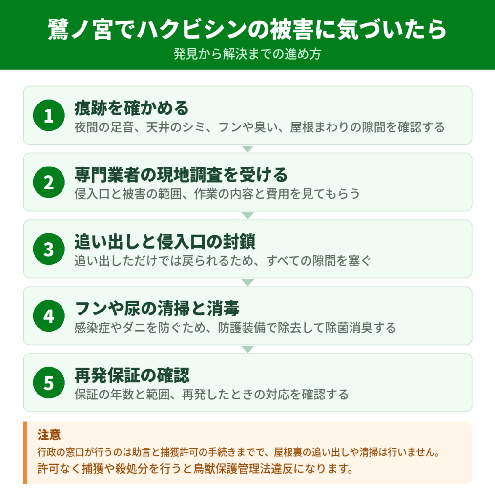 鷺ノ宮でハクビシンの被害に気づいてから解決するまでの流れ